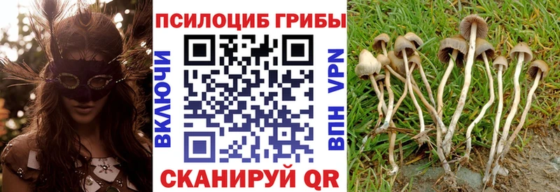 Псилоцибиновые грибы ЛСД Купить где Салехард
